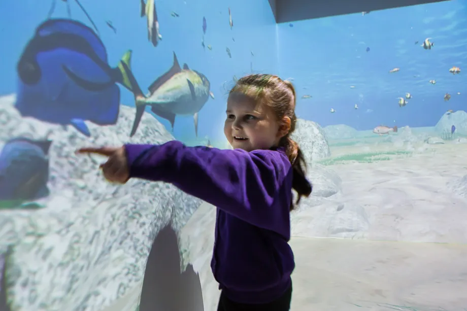 Immersive room sensory ocean projection.