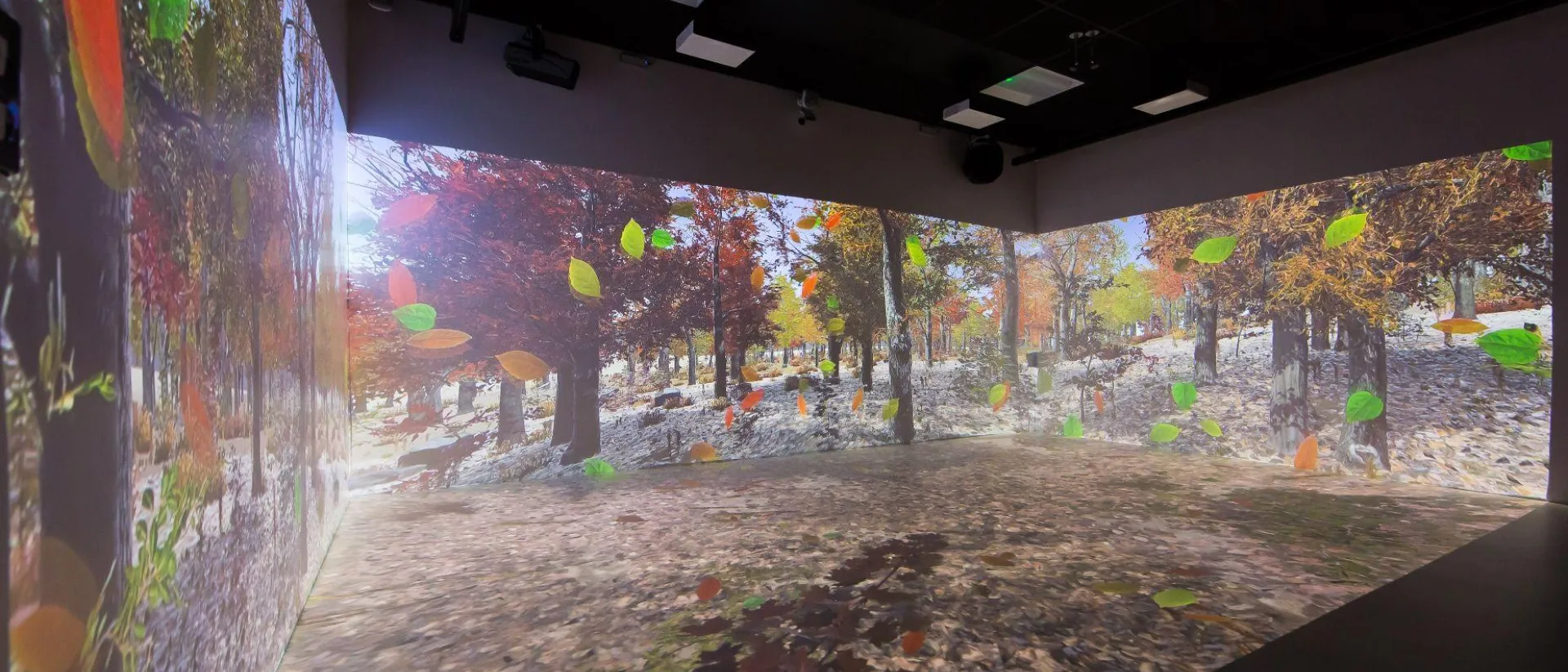 The Polden Bower Somerset immersive room.