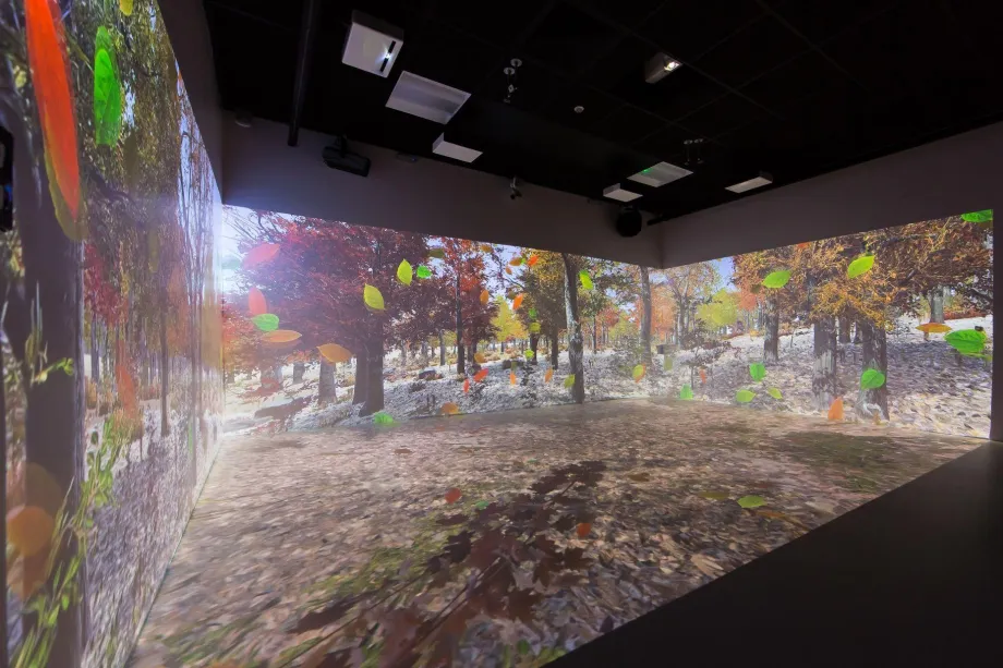 The Polden Bower Somerset immersive room.