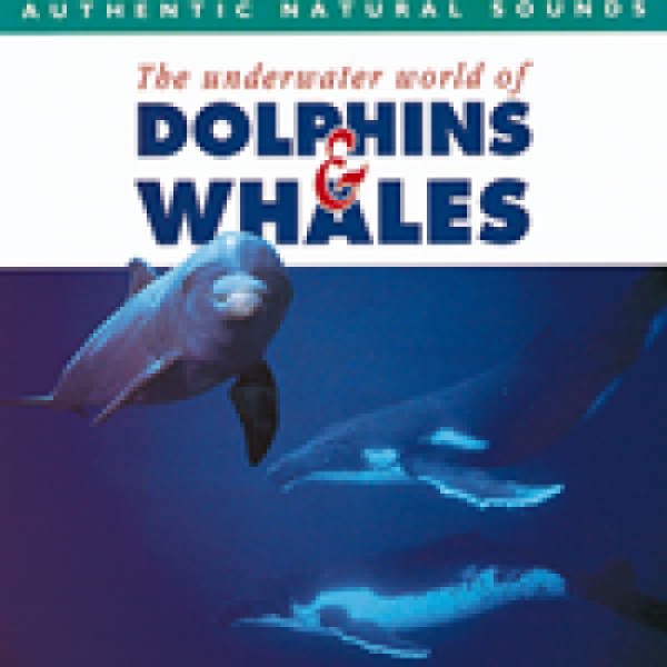 Dolphins & Whales CD