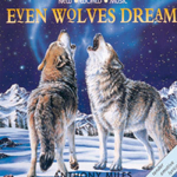 Even Wolves Dream CD