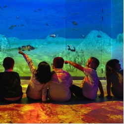 Aspire School Immersive Space
