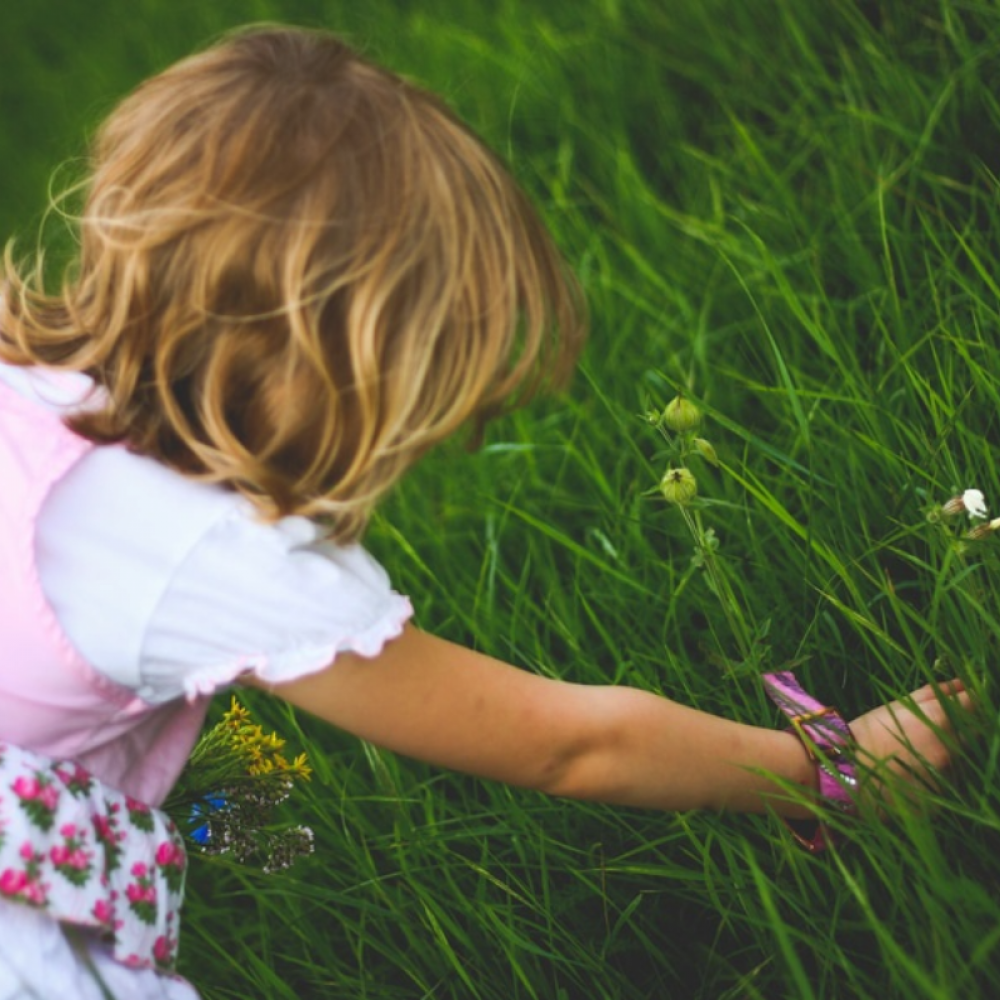 Benefits of A Sensory Garden