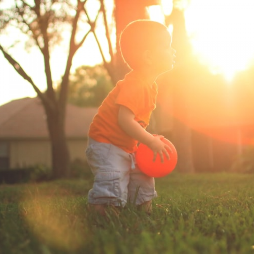 Sensory Garden for Autism