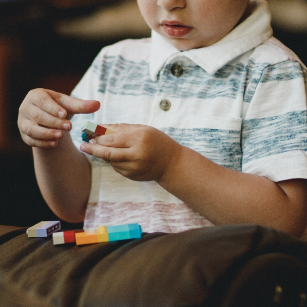 Sensory Processing 