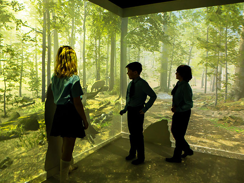 SEN Immersive Space