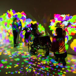 Wembley Stadium Immersive Sensory Spaces