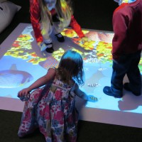 Fixed Interactive Floor System