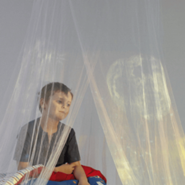 Projection Net