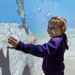 Mill School Immersive Space