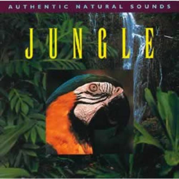 Jungle CD