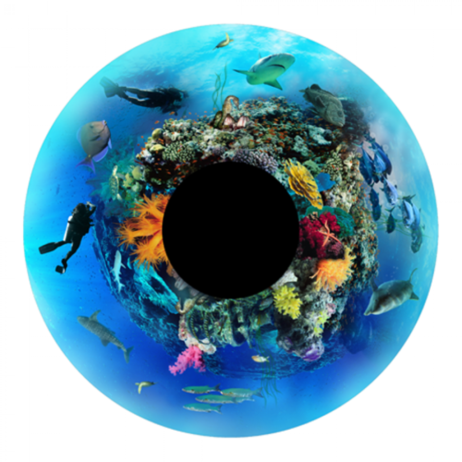 Under the Sea Effects Wheel Underwater Story Theming