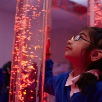 Calming LED Bubble Tube