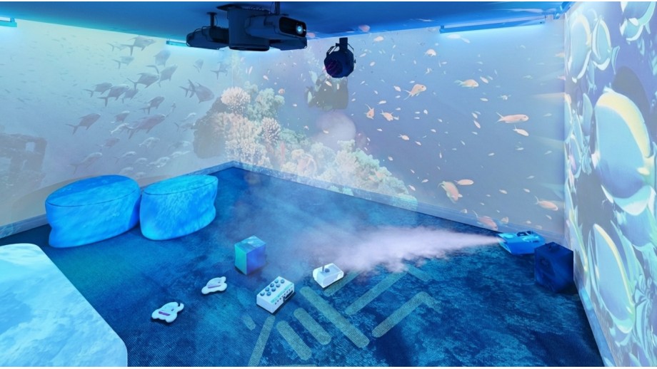 Immersive Environments