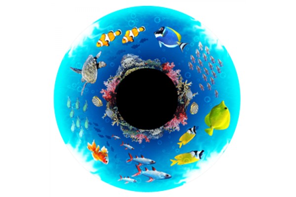 Tropical Reef Effects Wheel