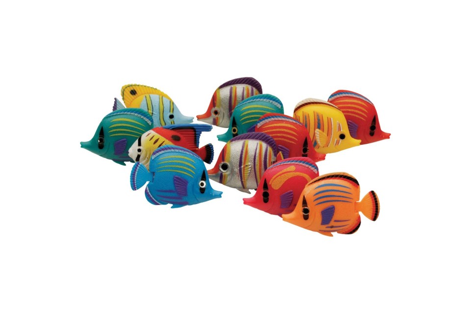 Coloured Bubble Tube Fish