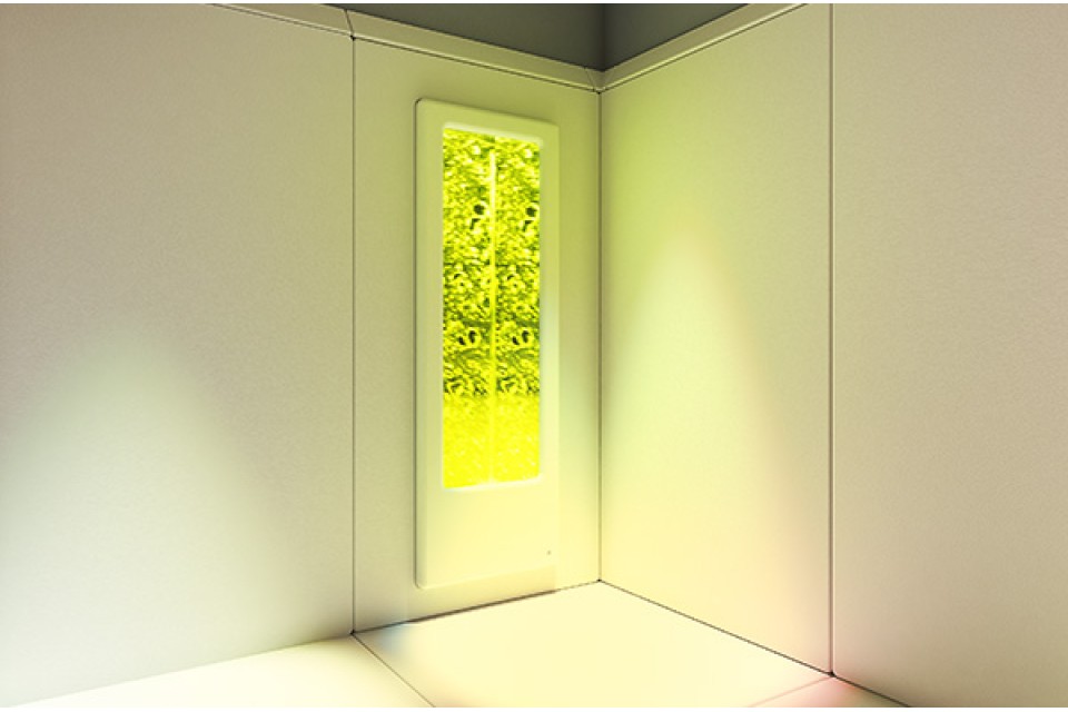 Zen - The Premium De-escalation Room