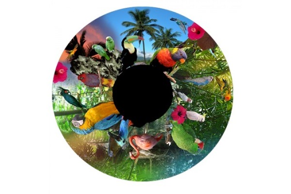 Birds of Paradise Effects Wheel