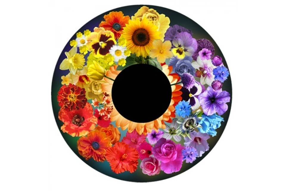 Flower Power Effects Wheel